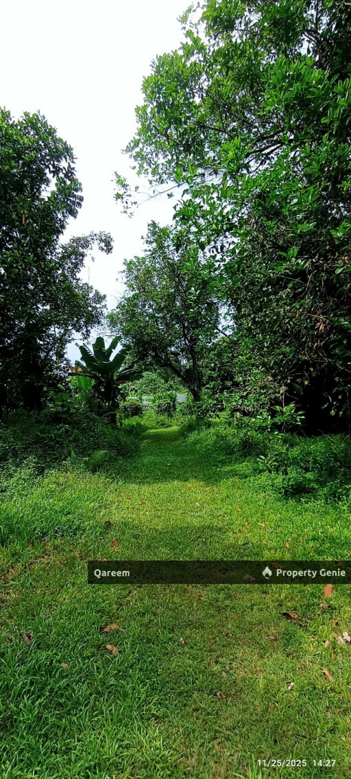 2 Ekar Dusun Buahan Beserta Rumah Seni Melayu Sg Lui Hulu Langat