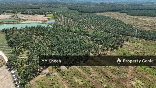 Kanthan Chemor, Ipoh. Agriculture Land 25 Acres