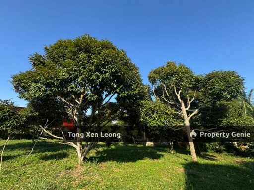 Ayer Molek Freehold Residential Land For Sale !!