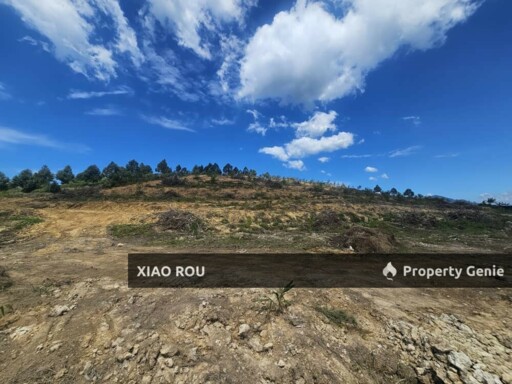 Simpang Pertang Agriculture Land