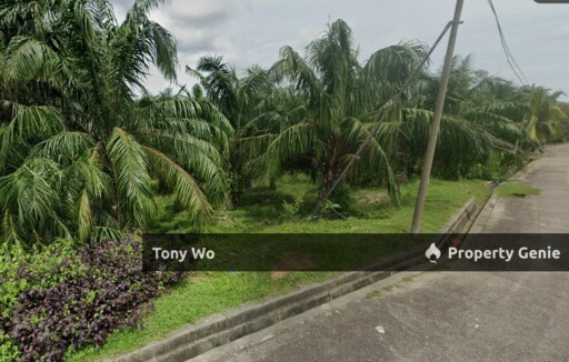 WTS RESIDENTIAL ZONING LAND IN ALOR GAJAH MELAKA.
