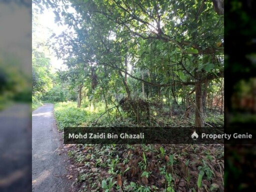 Tanah Pembangunan Kg Chetok