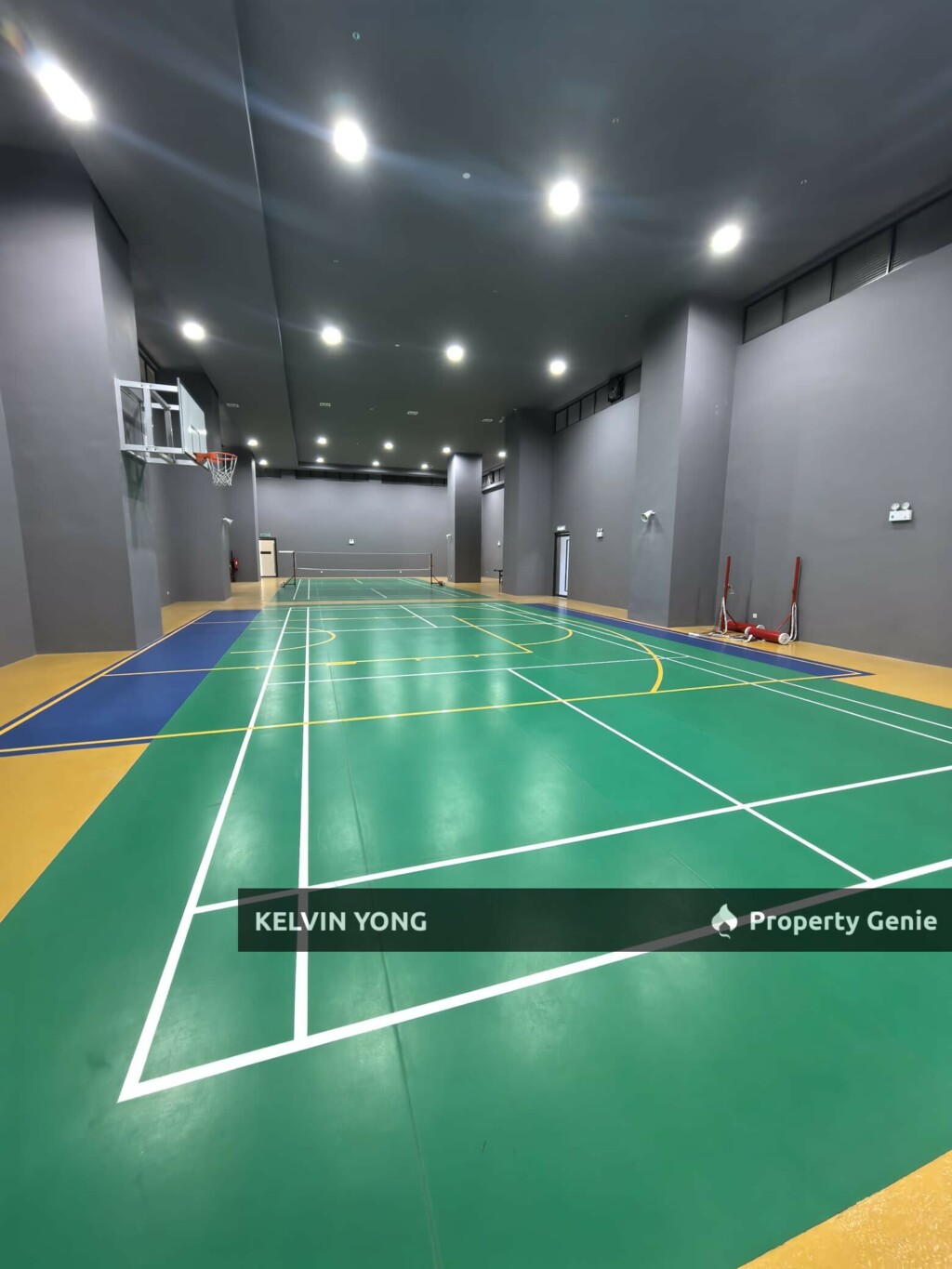 D Erica @ Damansara Perdana