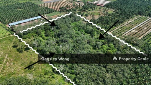 Sungai Siput RE road Freehold 11 Acres Agricultural Land Suitable Poultry farm