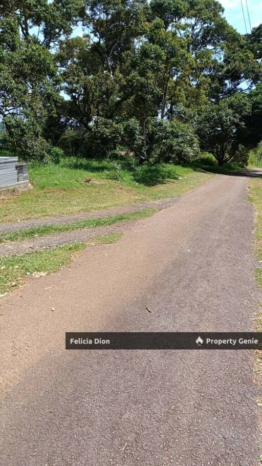 FREEHOLD AYER MOLEK AGRICULTURE LAND FOR SALE 🔥TOTAL 2++ ACRES