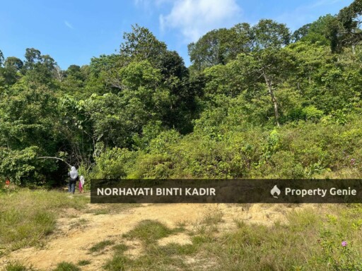 (HOT AREA) TANAH KEBUN DI BUKIT KUIN 2, KUANTAN