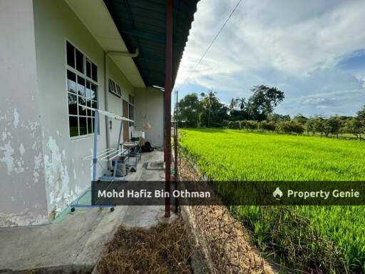 Taman Padang Nyu, Arau