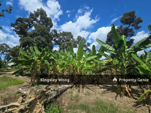 Manong, Kuala Kangsar, Perak Freehold 4.18 Acres Durian Farm  Agricultural Land