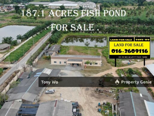The Large Fish Pond For Sale in Johor