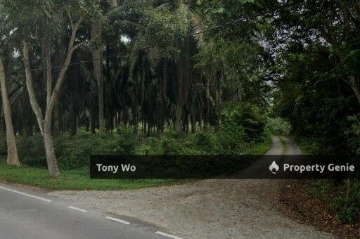 Residentials Land  For Sale