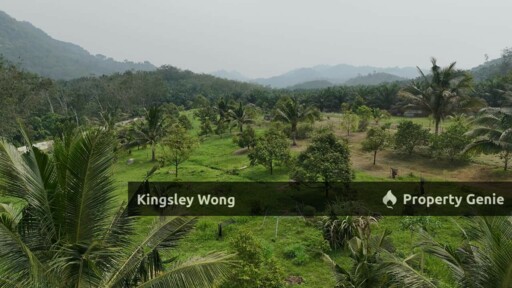 Jalong Tinggi Sg Siput Easy Entry with Asphalt Road 4 Acres Durian Orchard Farm