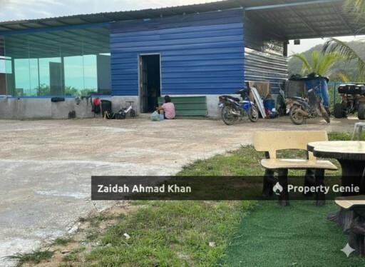 Durian Orchard Premium For Sale