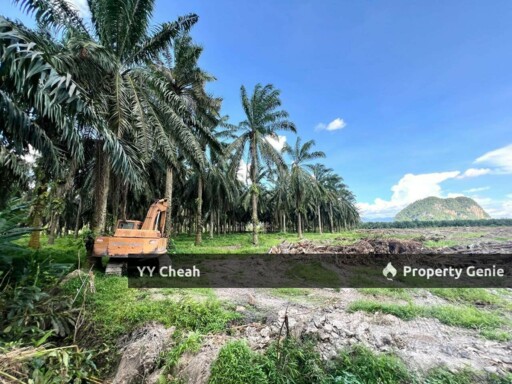 Kanthan Chemor, Ipoh. Agriculture Land 25 Acres