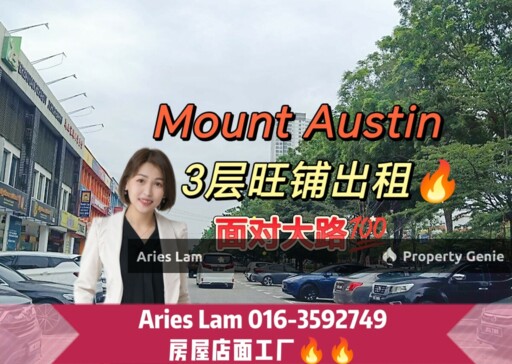 Mount Austin 3 Storey Shoplot /Whole Block For Rent