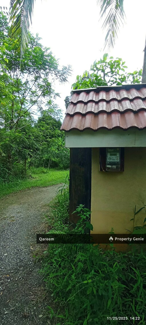 2 Ekar Dusun Buahan Beserta Rumah Seni Melayu Sg Lui Hulu Langat