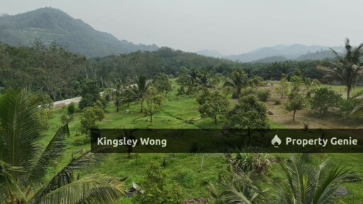 Jalong Tinggi Sg Siput Easy Entry with Asphalt Road 4 Acres Durian Orchard Farm