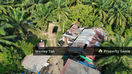 Jasin Jln Tehel Freehold Mainroad 9.9acres Matured Palm Oil Agri Land