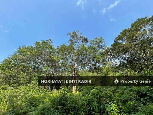 (HOT AREA) TANAH KEBUN DI BUKIT KUIN 2, KUANTAN