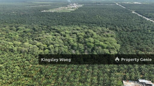 Taiping Perak Freehold Agriculture Land Can convert to Industrial title