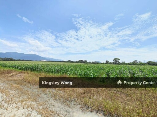 Klebang Tasek Freehold 17 Acres Agriculture Land Next to Industrial Area