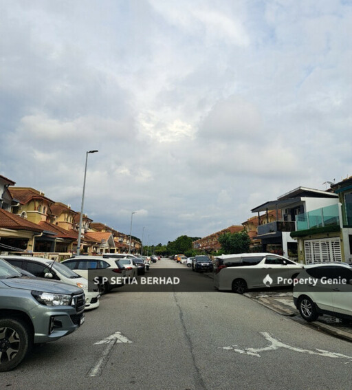 Nectandra, Setia Alam