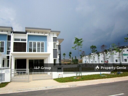 Viola, Alam Impian