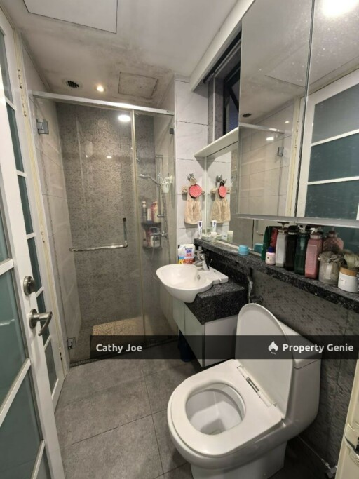 DUPLEX PREMIUM CONDOMINIUM AT UPPER  EAST TIGER LANE IPOH