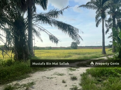[Tanah Zon Kampung] Kg Air Melintas Besar, Tasek Gelugor