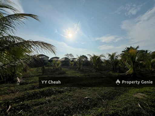 Gopeng Ipoh Perak Agriculture Flat Land For Sale, Freehold Beside road Agricultural Land