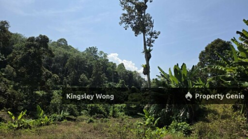 Kati, Kuala Kangsar Freehold Agricultural Land 6.1 Acres Agricultural Land