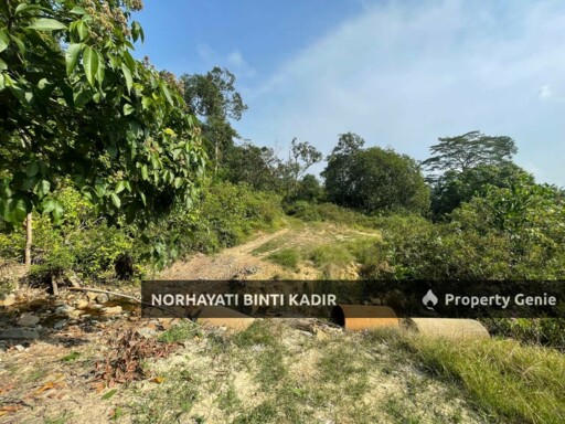 (HOT AREA) TANAH KEBUN DI BUKIT KUIN 2, KUANTAN