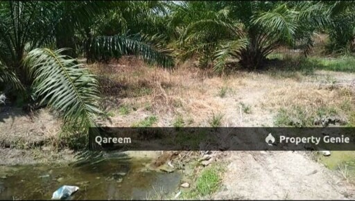 2.01 Ekar Ladang Kelapa Sawit Kg Sekendi Sabak Bernam