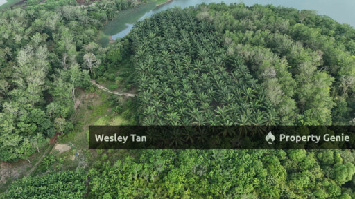 Below Value Durian Tunggal Oil Palm Land 4.1acres ROI 6% 200+- Trees