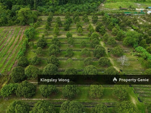 Lawin Kuala Kangsar Freehold Agricultural Land Existing Chalet