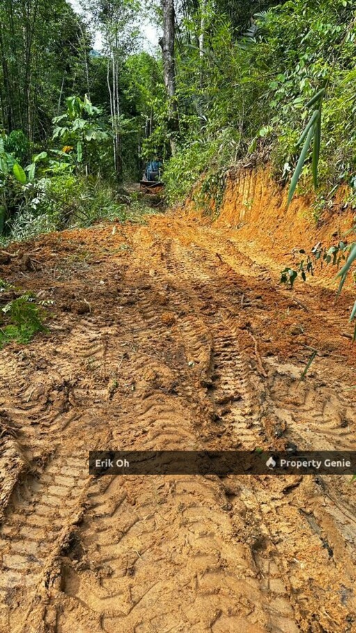 Kuala Kubu Bharu Agriculture Land for Sale (Mukim Ampang Pecah, Hulu Selangor)