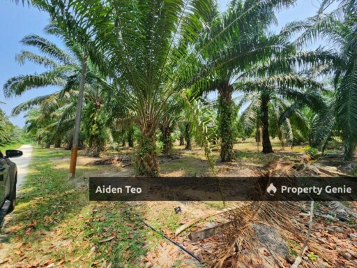 Agricultural Land Sebatu Melaka For Sale