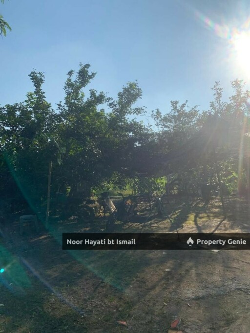 Kuala Selangor, Bukit Hijau , 3 Acres Land for Sale RM1.3M