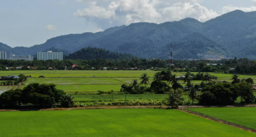 Balik Pulau Residences