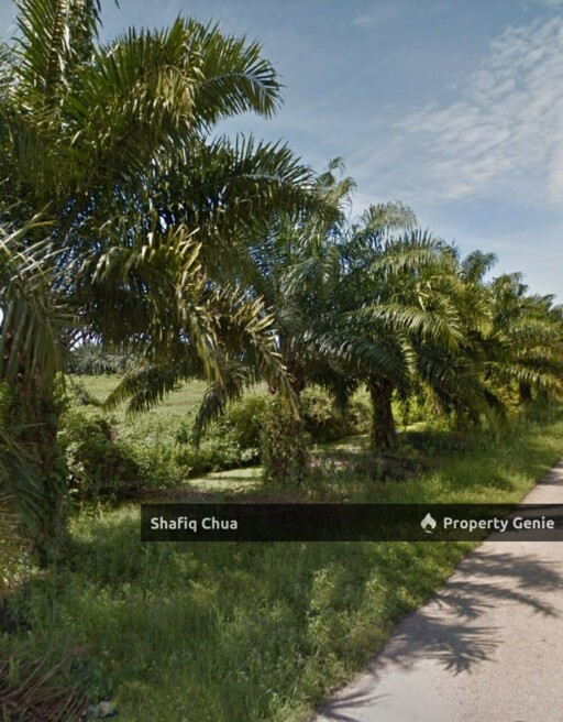 Agriculture Land Within Industrial Zone in Jalan Maharajalela, Jeram