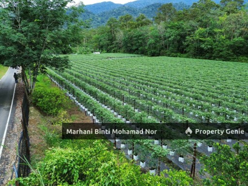 Tanah Bukit Changgang Kuala Langat