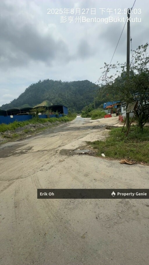 Gur Puri Bentong Pahang Durian Farm for Sale