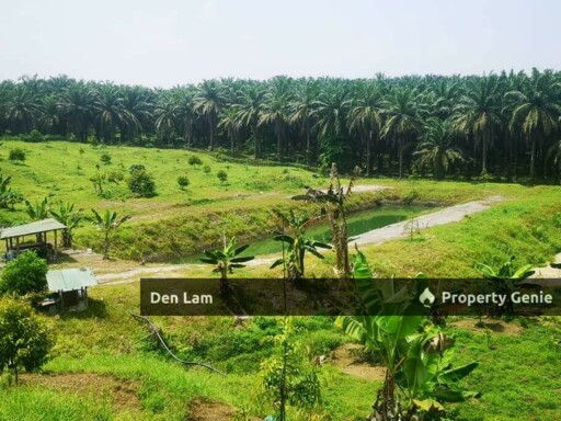 Raub Sungai Ruan Durian Farm for Sale !!