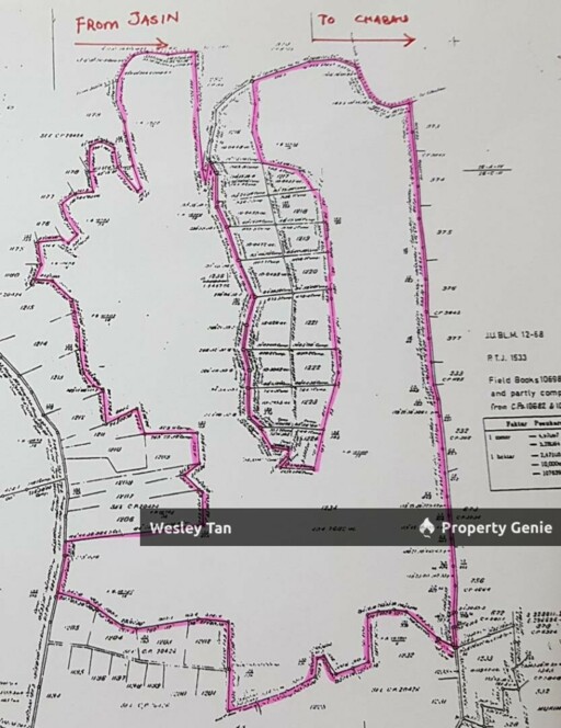 495-Acre Freehold Agricultural Land Jasin, Rim Melaka For Sale / Rent