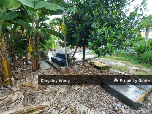 Kampung Tawas Ipoh 45x90 Residential Land Near Chemor Tasek Mall