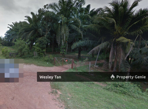 Durian Tunggal Freehold Oil Palm Tree Land For Sale