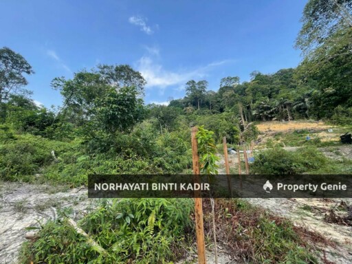 (HOT AREA) TANAH KEBUN DI BUKIT KUIN 2, KUANTAN