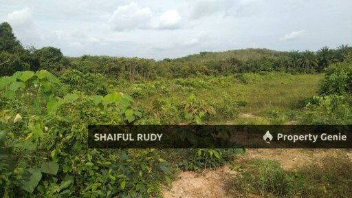 TANAH PERTANIAN untuk Dijual di Kampung Bukit Tingkat, Mukim Sanggang, Temerloh, Pahang
