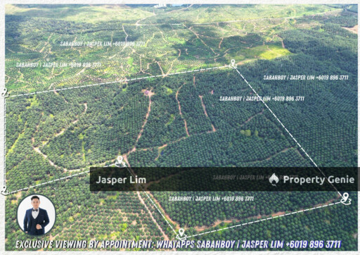 Kunak - Semporna Plantation Flat Land