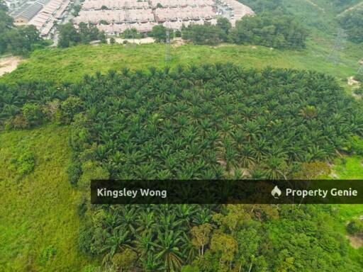 Kuala Kangsar Freehold 1.3acre Agricultural Land with Reserved Road