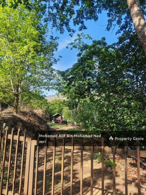 Dusun Buah-buahan untuk Di jual | Geran Individu | Below MV